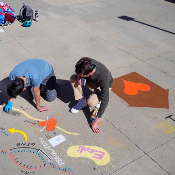 Students draw on the sidewalk with chalk