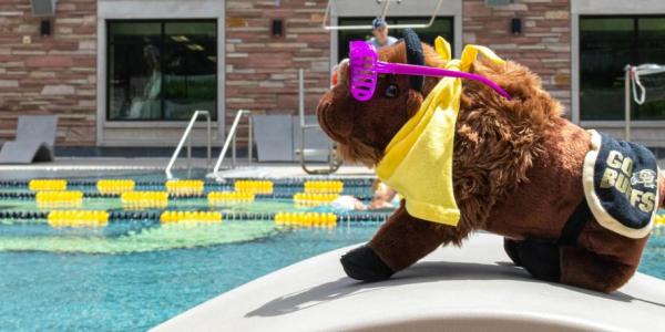 Ralphie stuffed animal by pool