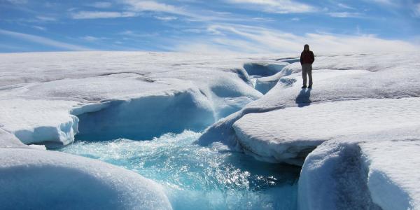 Researcher standing on ice cap