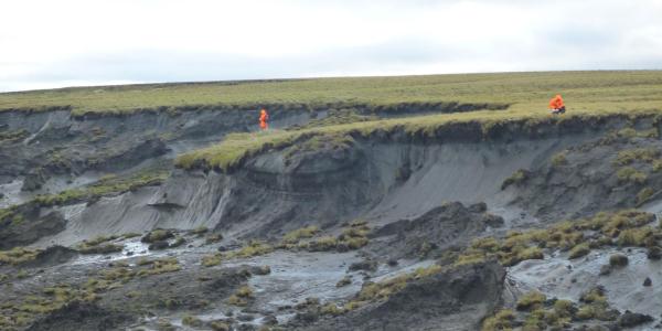 An Alfred Wegener Institute permafrost team inspects a massive thaw slump on the Yedoma coast of the Bykovsky Peninsula.
