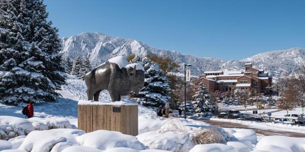 Snow covered Ralphie statue