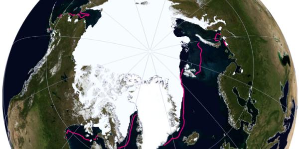 Arctic sea ice on globe