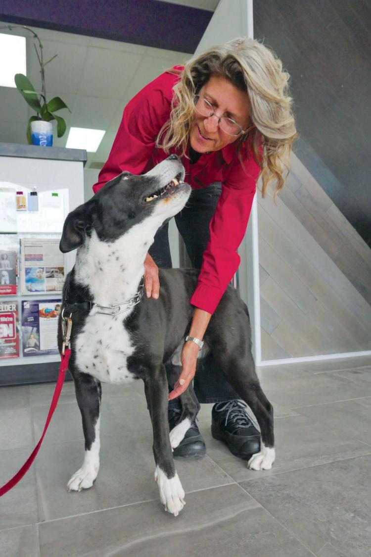 Researcher petting dog