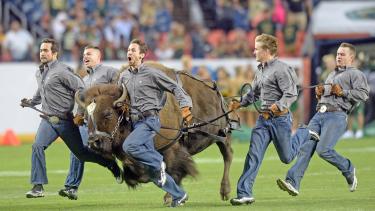 Ralphie running with her handlers