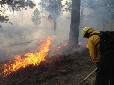 Firefighter battling wildfire