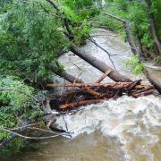 Boulder Creek overflowing its banks during the 2013 flood