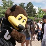 CU mascot Chip striking a silly pose with a young fan
