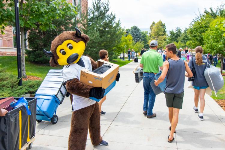 Preparing for movein, Fall 2023 Division of Student Affairs