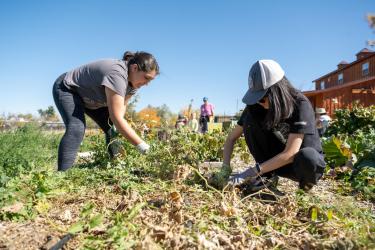 Volunteer with FoodCycle  Make a difference in your community