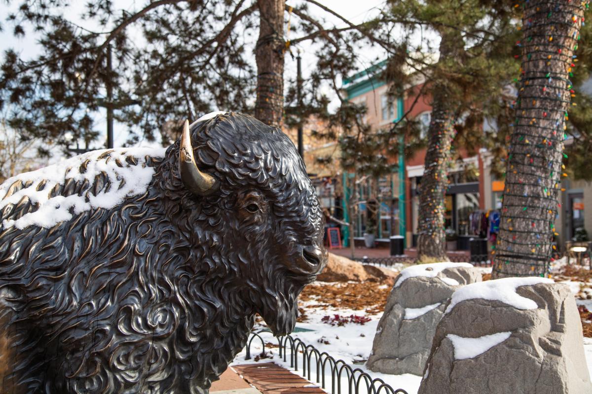 snow on Pearl Street