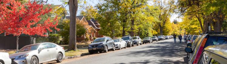 The Hill Neighborhood