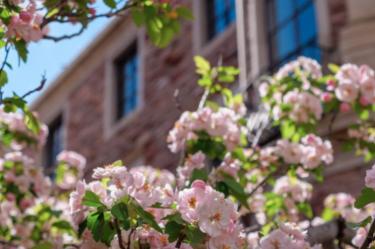 campus building with flowers