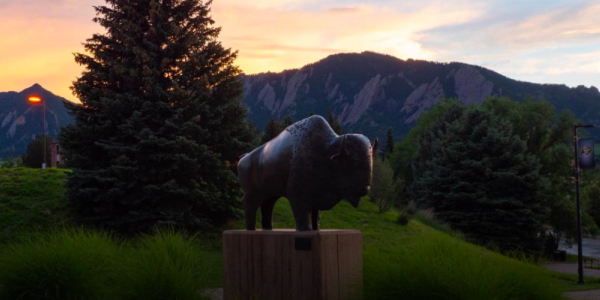 Ralphie statue at sunset in front of Flatirons