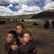 A group of young Tibetan monks huddles on a degraded pasture on the Tibetan Plateau. (Kevin Frayer/Getty)