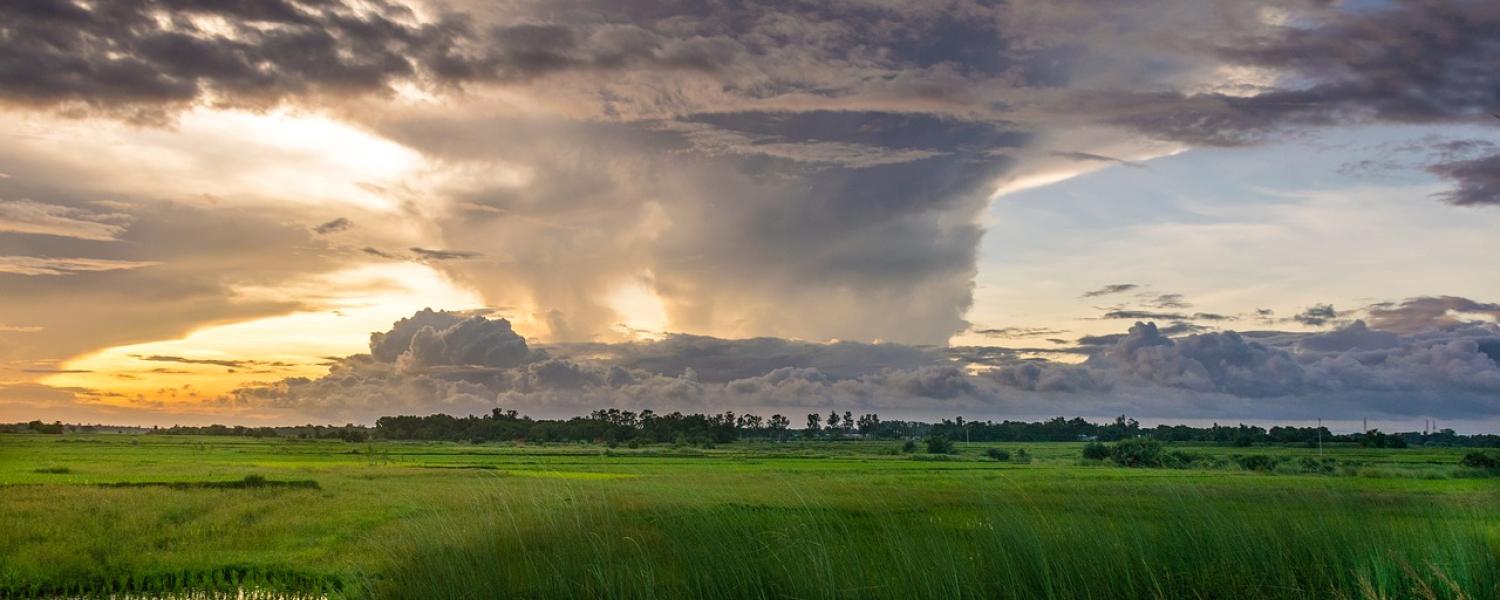 Clouds loom over green grass, pond