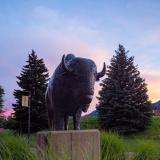 An image of the Ralphie statue with the Flatirons in the background