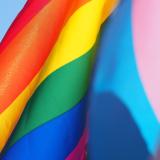 LGBTQ and trans pride flags