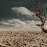 A drought-parched landscape