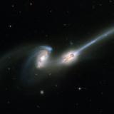 Mice galaxies