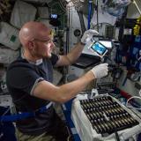 ESA astronaut Alex Gerst working on the International Space Station