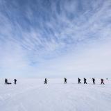 Arctic sea ice