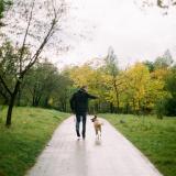 Person walking their dog