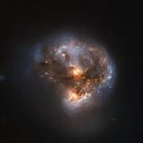 A young megamaser as seen by the Hubble Space Telescope