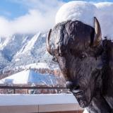 The buffalo statue at CASE in the snow, with the flatirons in the background