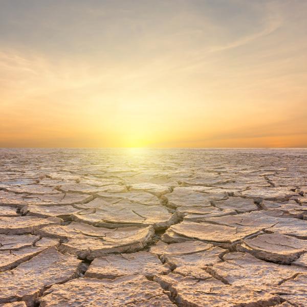 cracked, dry landscape