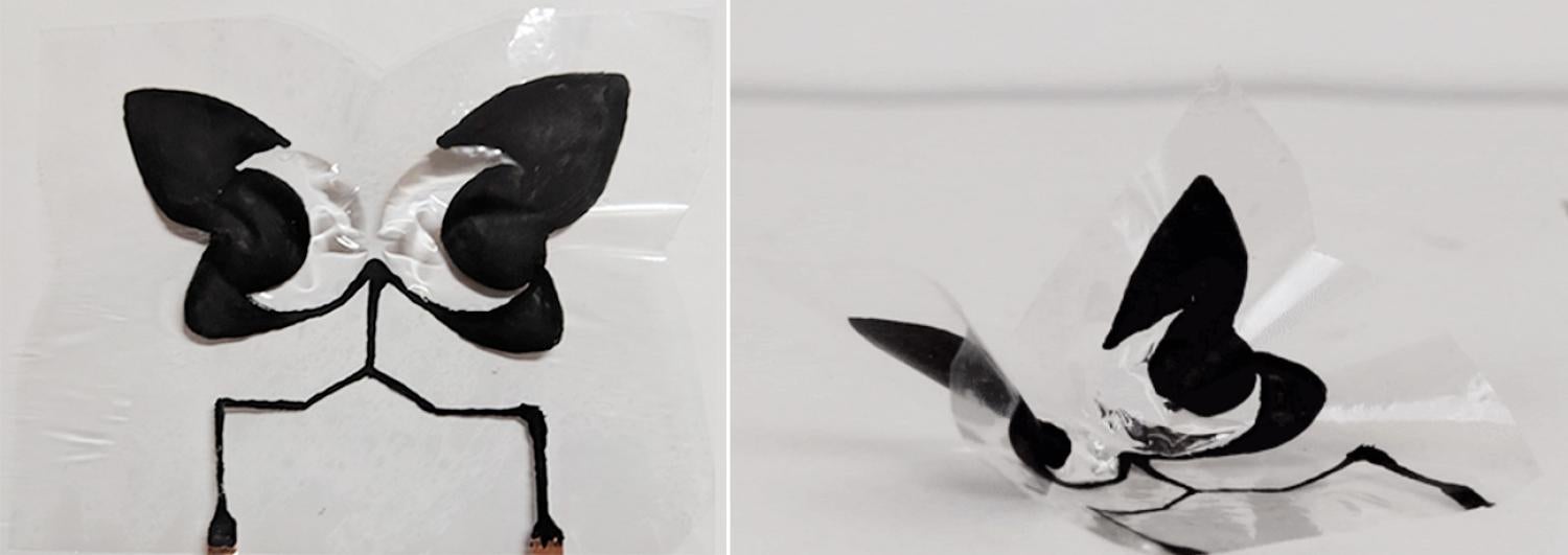 Side-by-side images of a butterfly on clear plastic that is flat (left) and folded (right)