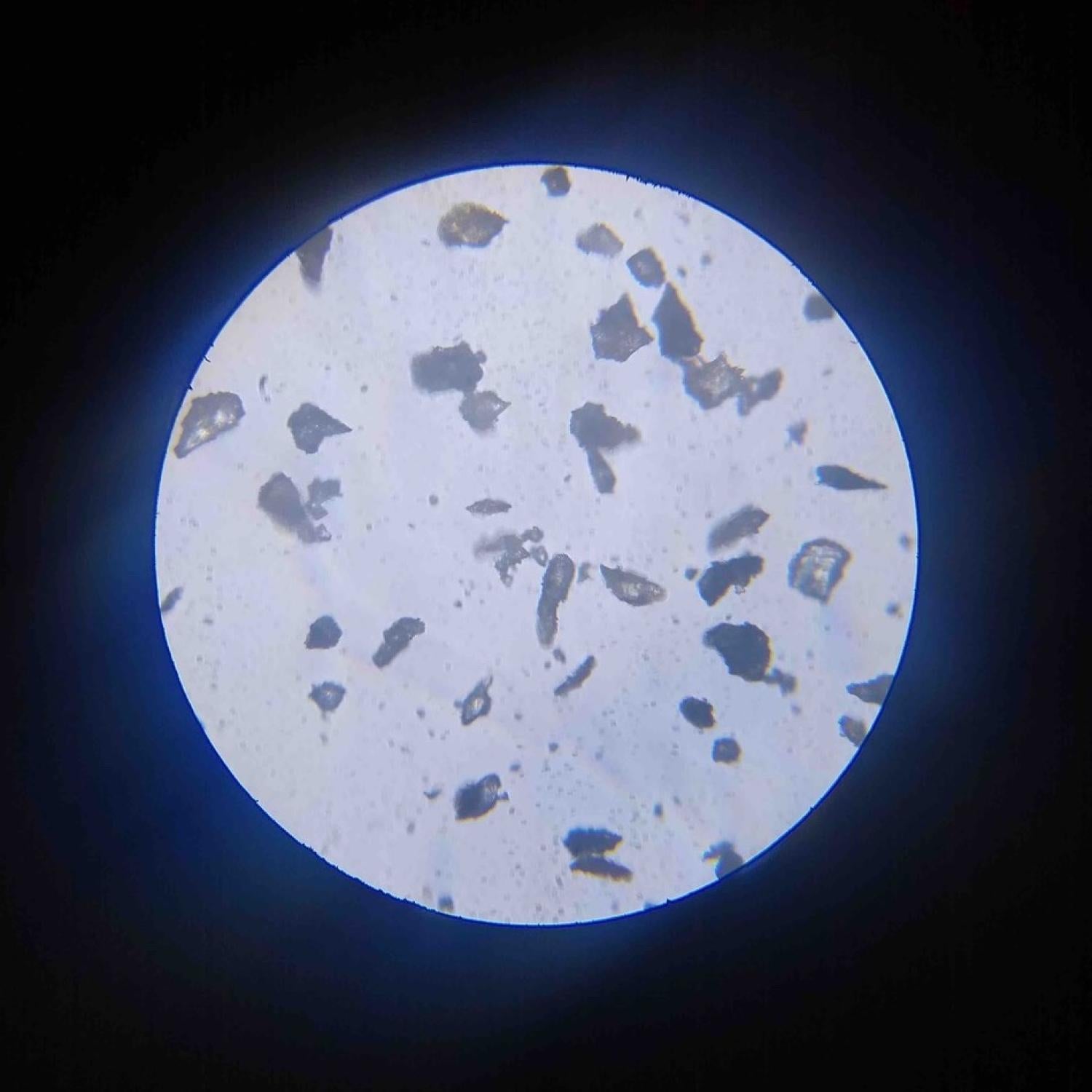 Researchers use an old process to freshly analyze a single grain of moon  dust