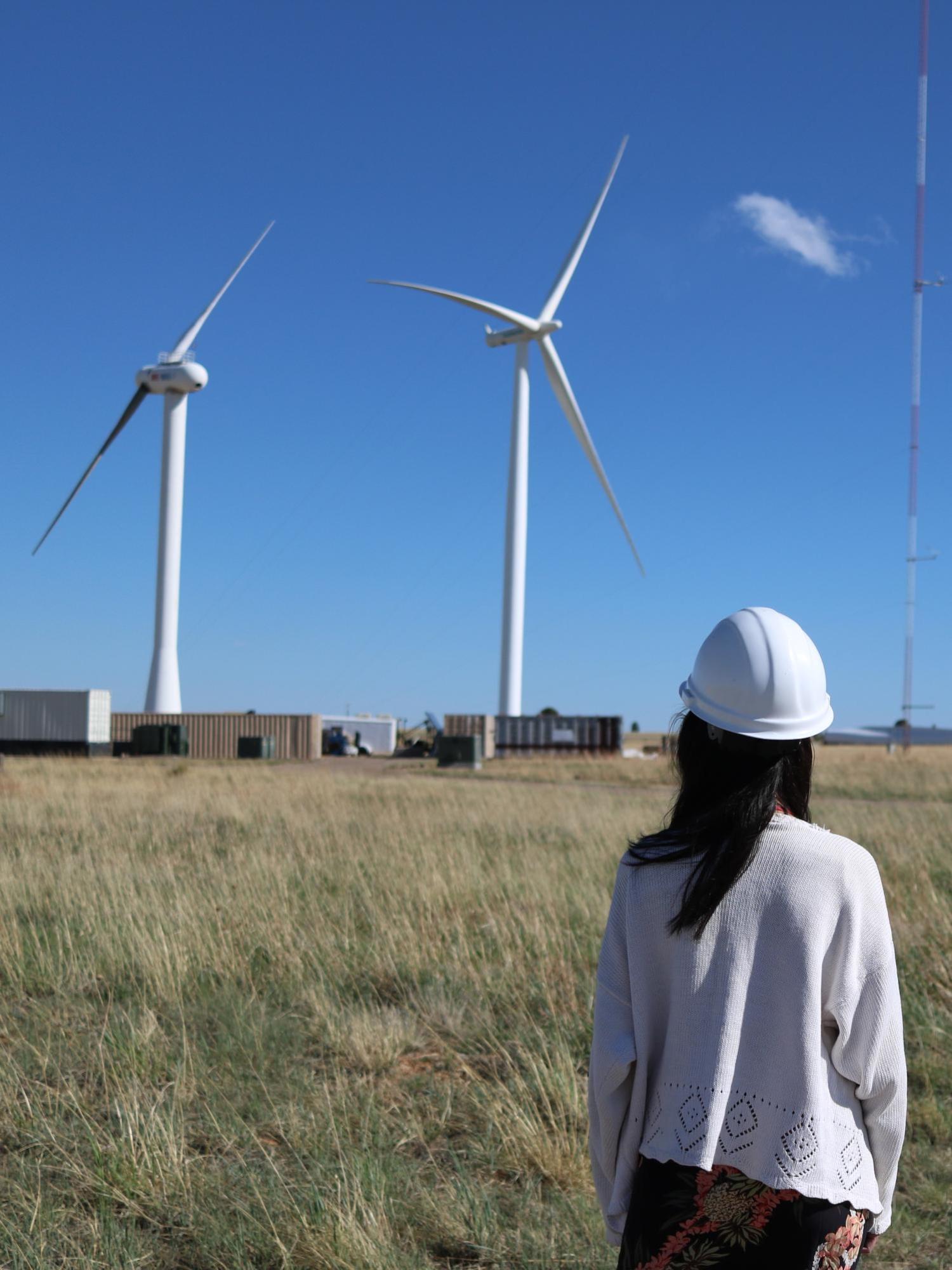 Lucy pao and wind turbines