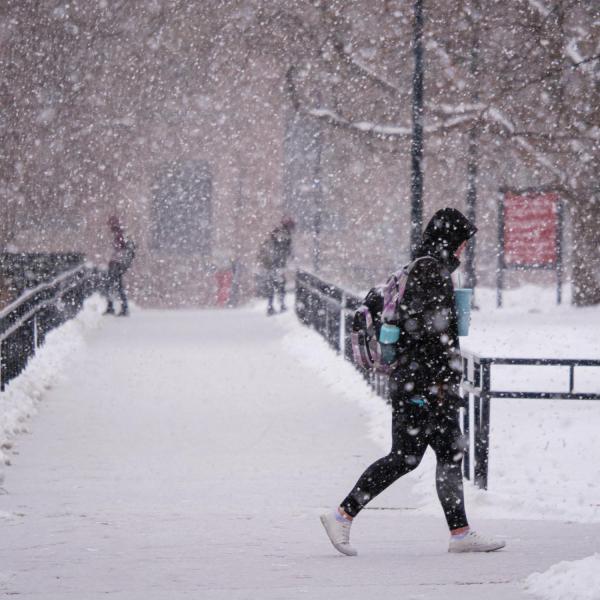 Snow on campus. Photo by Glenn Asakawa.