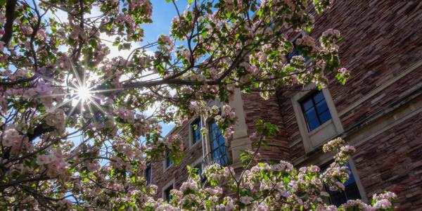 spring blooms on campus