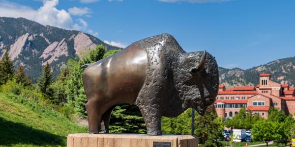 buffalo statue on campus