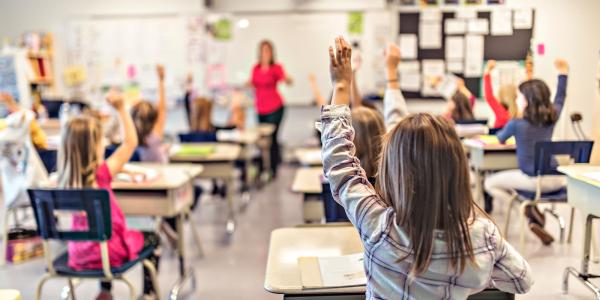 Children, seen from behind, sit at desks and raise their hands in a classroom