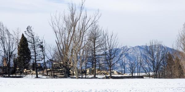 A view of a burned neighborhood in Lousiville,CO after the Marshall Fire.