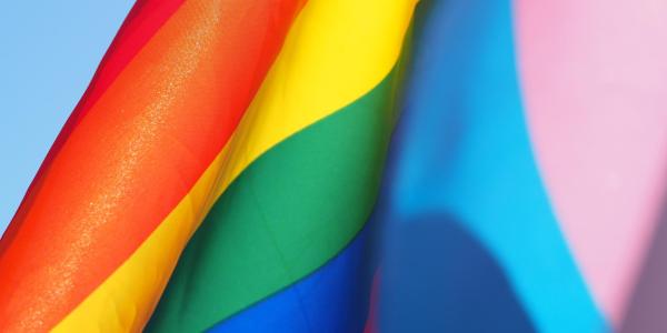 LGBTQ and trans pride flags