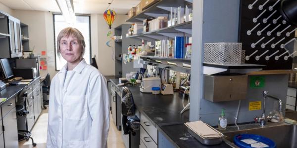 Corrie Detweiler in her lab