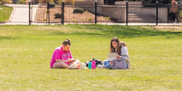 Students studying on the grass