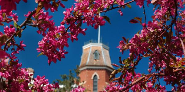 Old Main with spring blossoms
