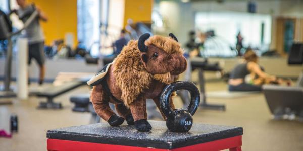 Buffalo stuffed animal with a 5 lb weight