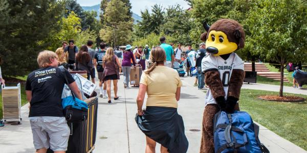 Chip the buffalo and campus community members volunteer during move-in