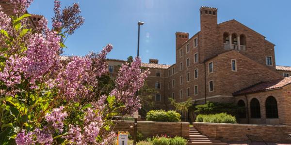 A campus building is drenched in sun, with a blossoming branch of pink flowers in the foreground.