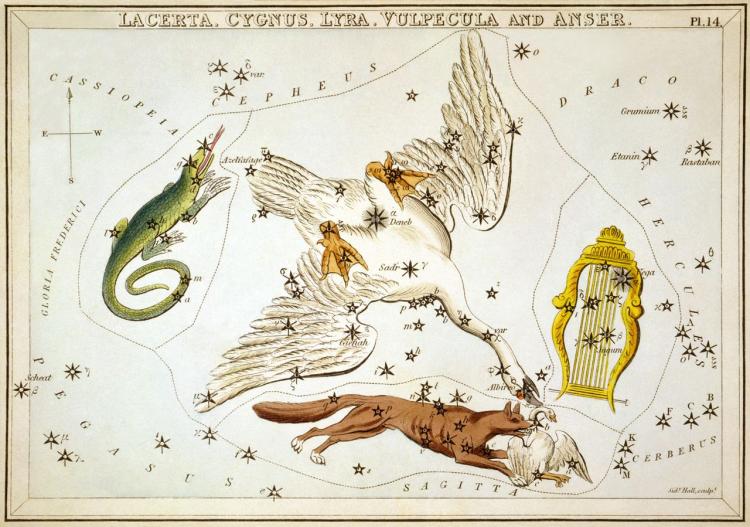 Illustration of several constellations, including Lyra, depicted as a golden lyre.