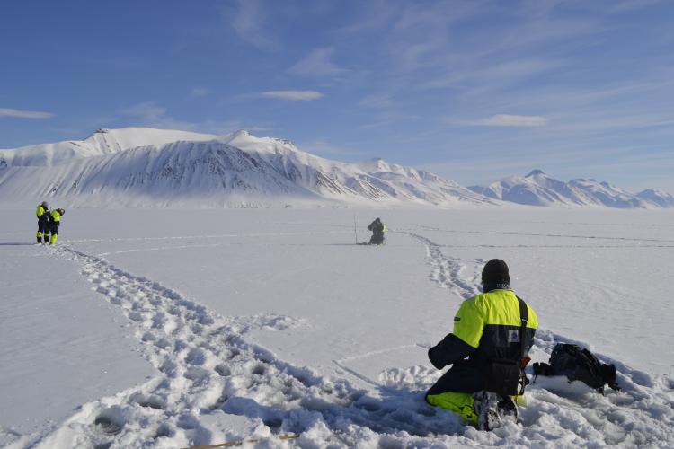 Collecting spectral reflectance measurements of surface snow with corresponding snow samples in Northern Svalbard