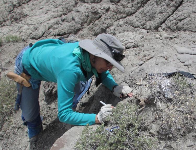 Woman on hillside uses tool to scratch away rock