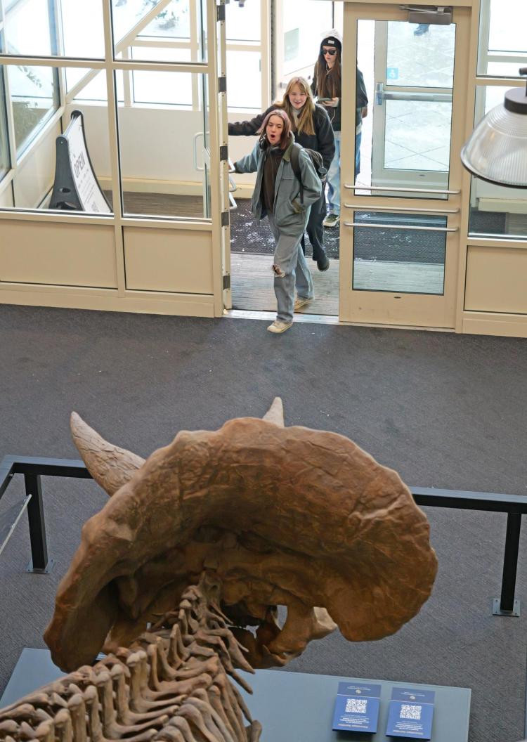 People react to the newly installed plaster cast of a life-size Triceratops.