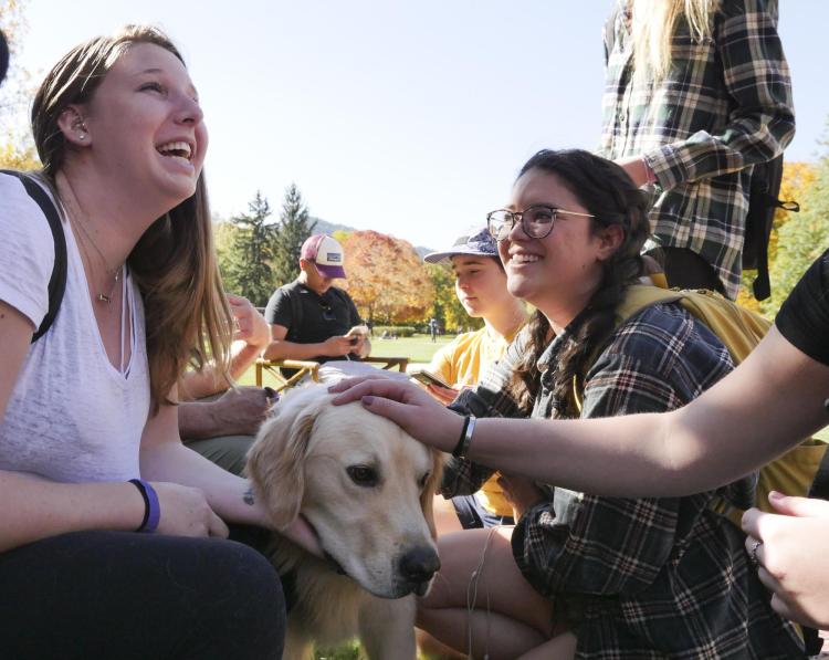 Students pet a therapy dog on campus