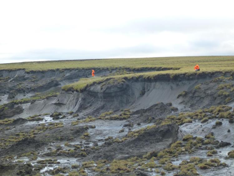 A massive thaw slump on the Yedoma coast of the Bykovsky Peninsula is inspected by an AWI permafrost team.